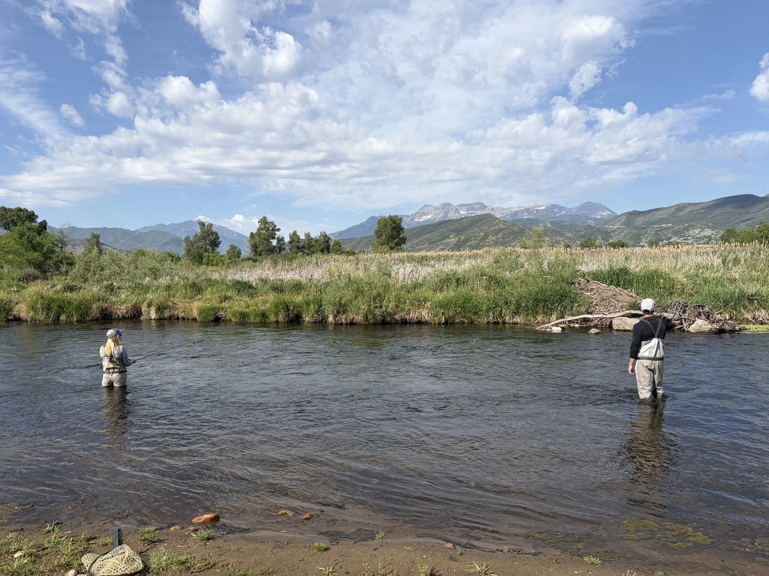 What is the best summer fly fishing and dining itinerary for Park City?