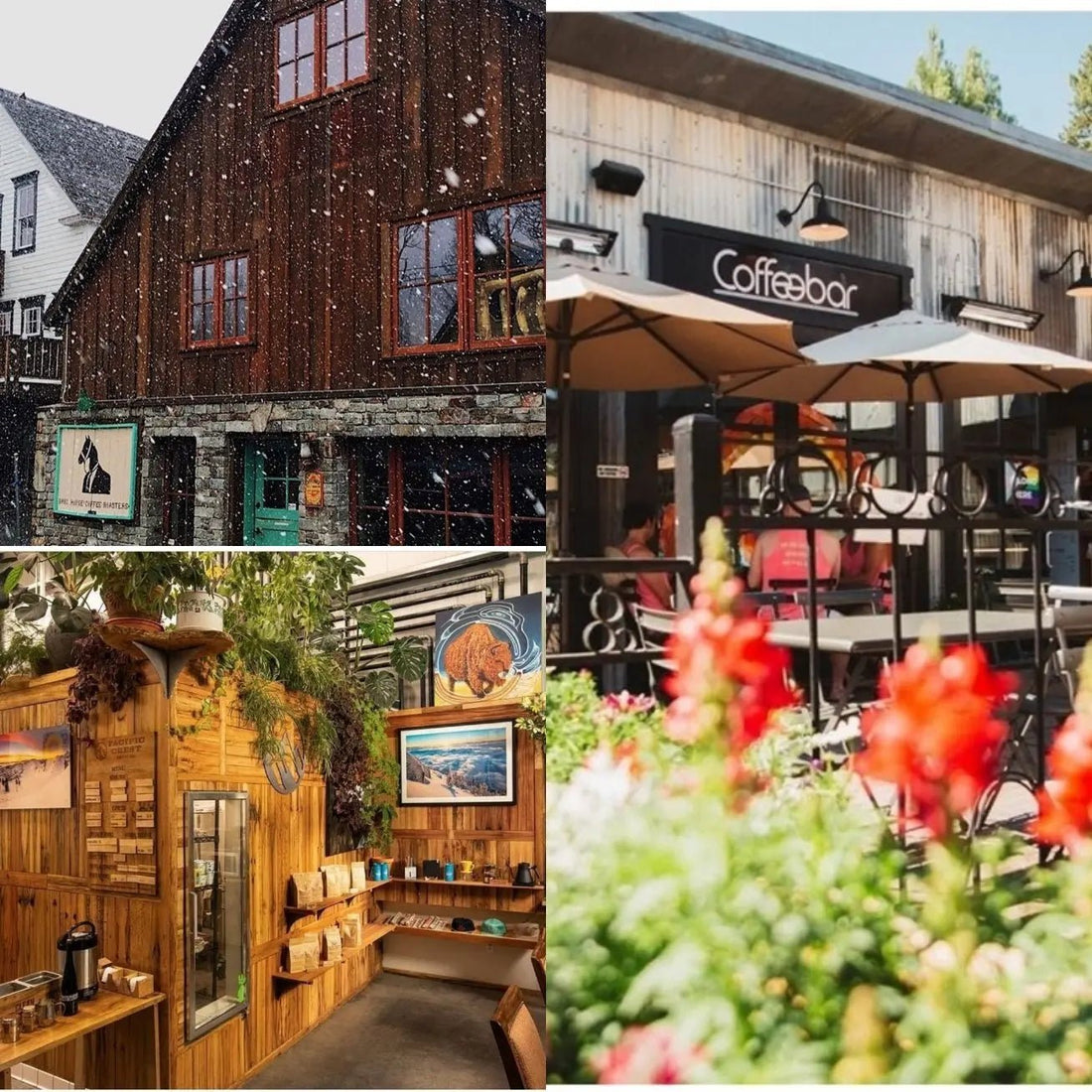 The 3 Best Truckee Coffee Shops to Start or End Your Ski Day - All About Apres Ski